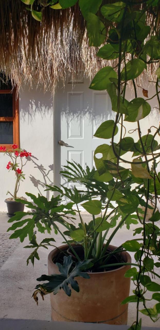 Poza Clara Sanctuary Hotel Bacalar Eksteriør billede